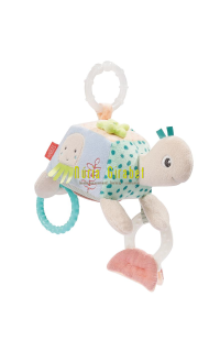 sonall pinsa activitats tortuga fehn