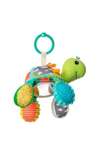 sonall tortuga infantino
