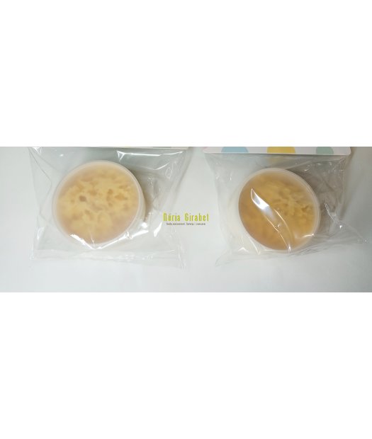 esponja natural canastreta (2u)