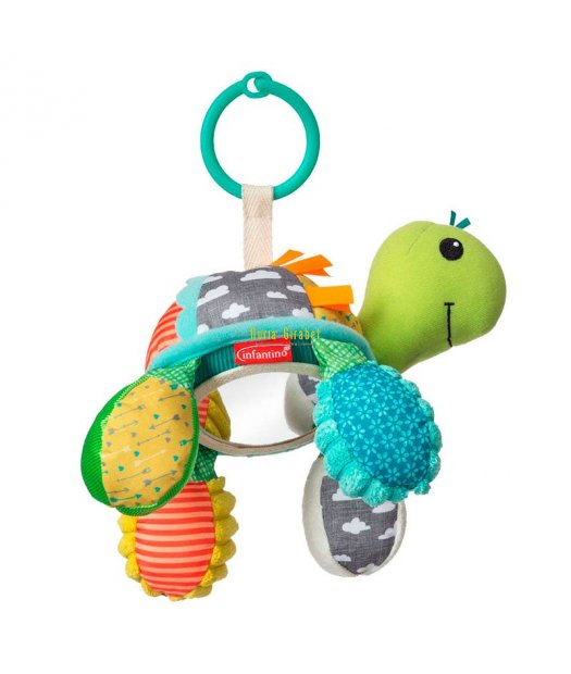 sonall tortuga infantino