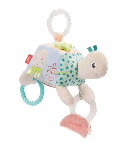 sonall pinsa activitats tortuga fehn