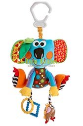 pinsa koala
