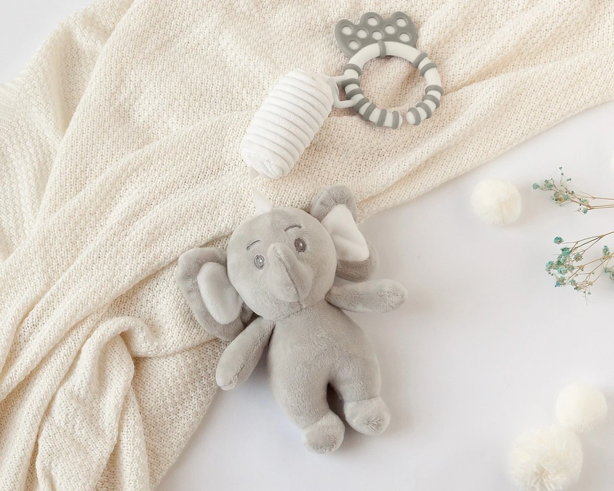 pinsa amb elefant sonall